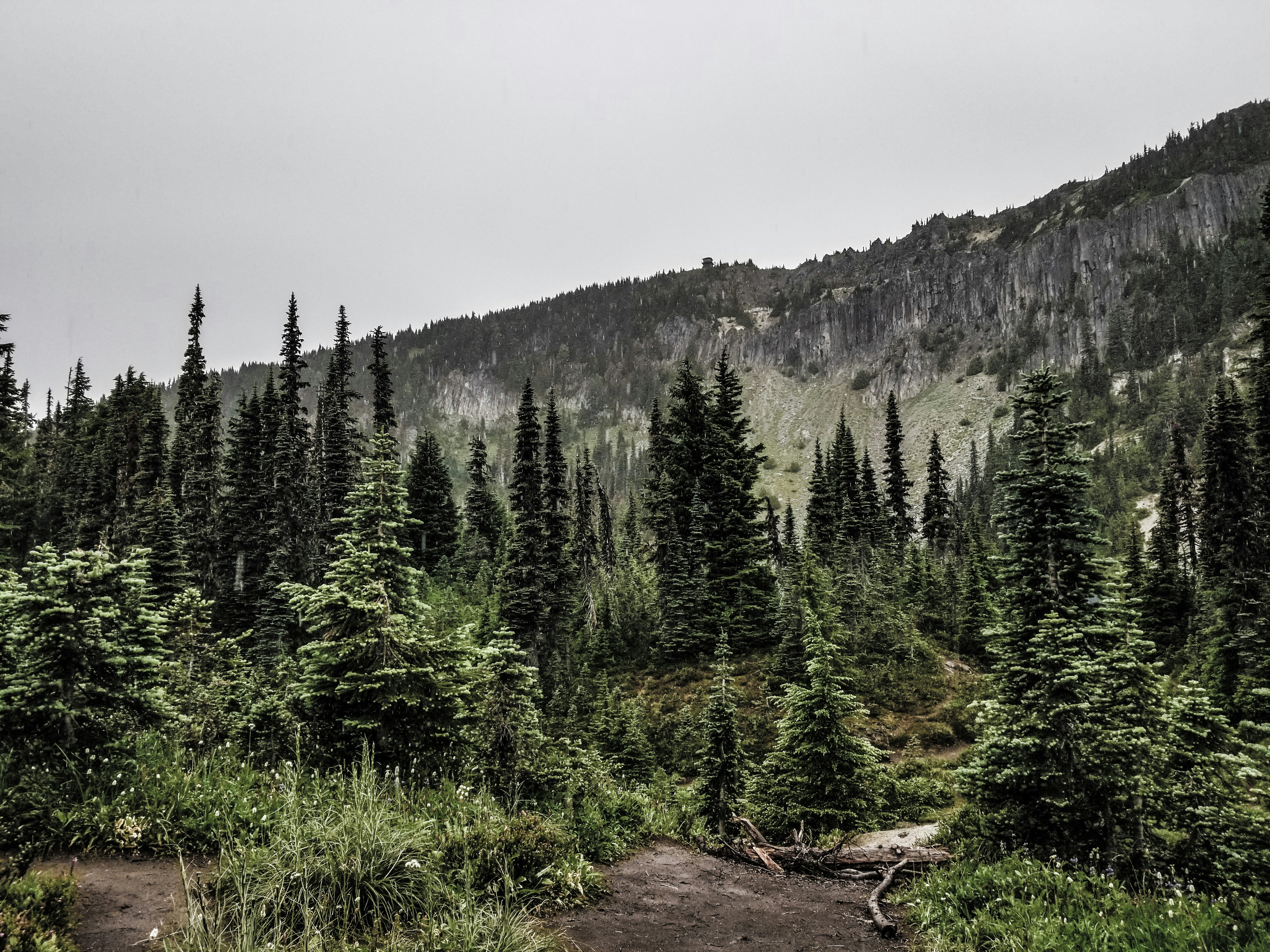 Photo by prphotography262