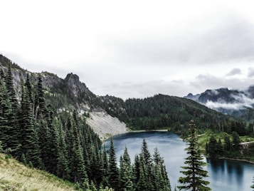 A serene mountain landscape features a tranquil lake surrounded by dense evergreen forests. Rugged peaks rise in the background, partly shrouded in mist and clouds that add a mystical atmosphere. The foreground is dominated by tall pine trees and a grassy slope leading down to the water's edge.