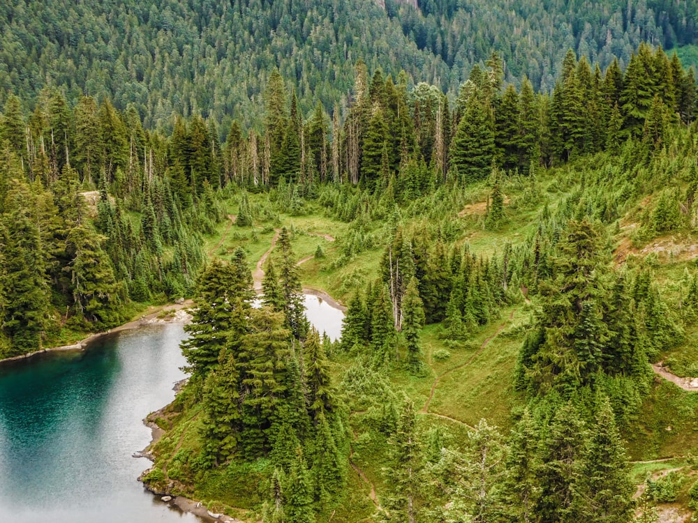 an aerial view of a lake surrounded by trees