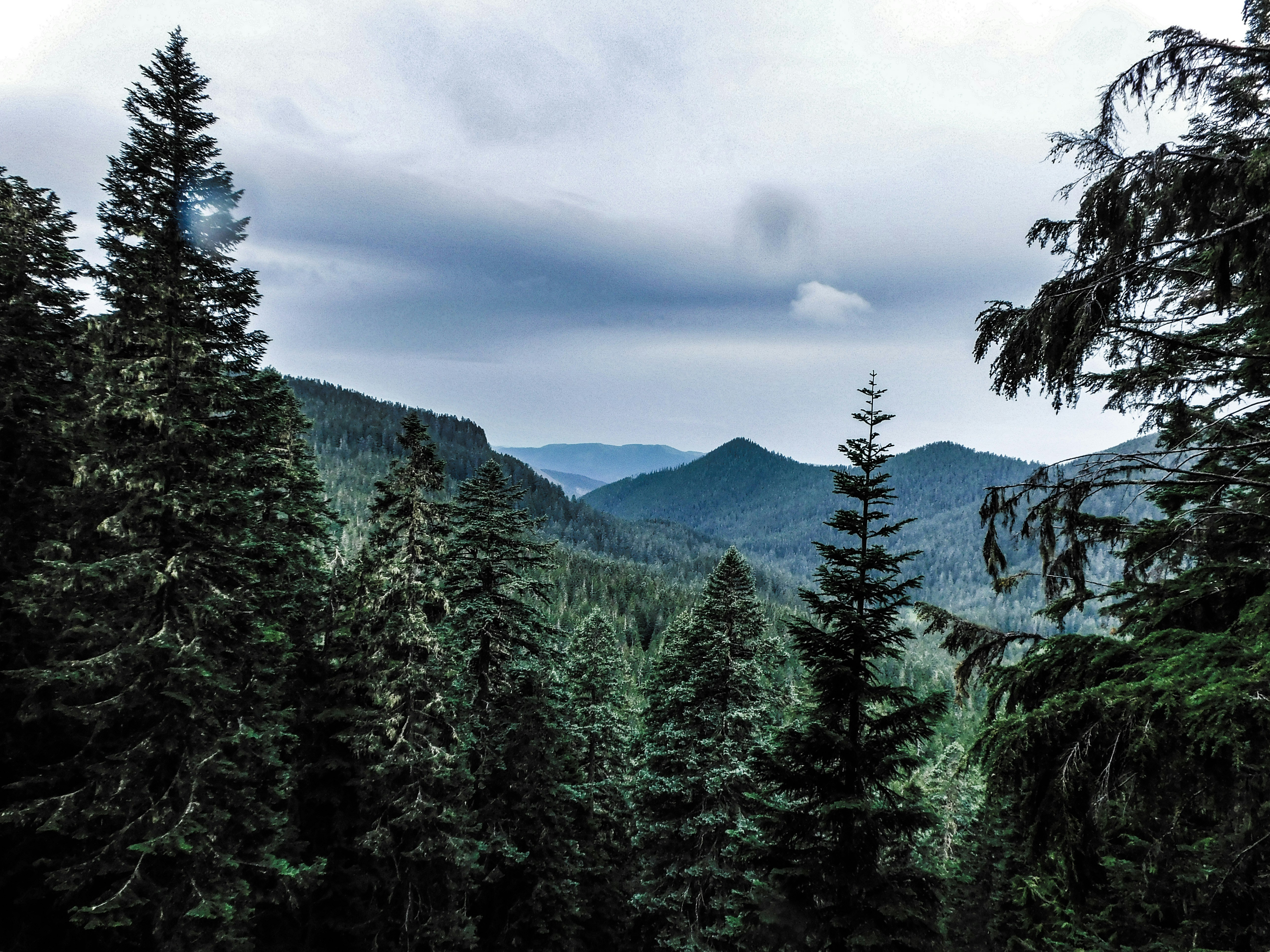 Photo by prphotography262