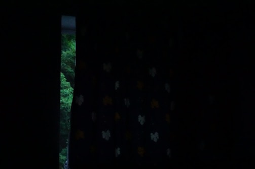 An elegant dark green accented curtain set complementing a luxury apartment’s minimalist decor.