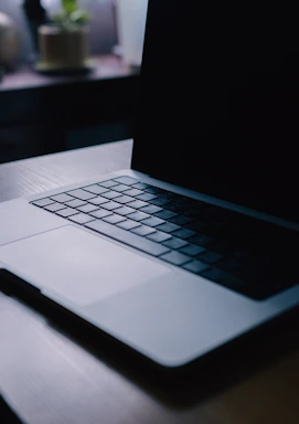 A sleek black laptop on a dark wooden desk with a small neon plant beside, glowing softly.