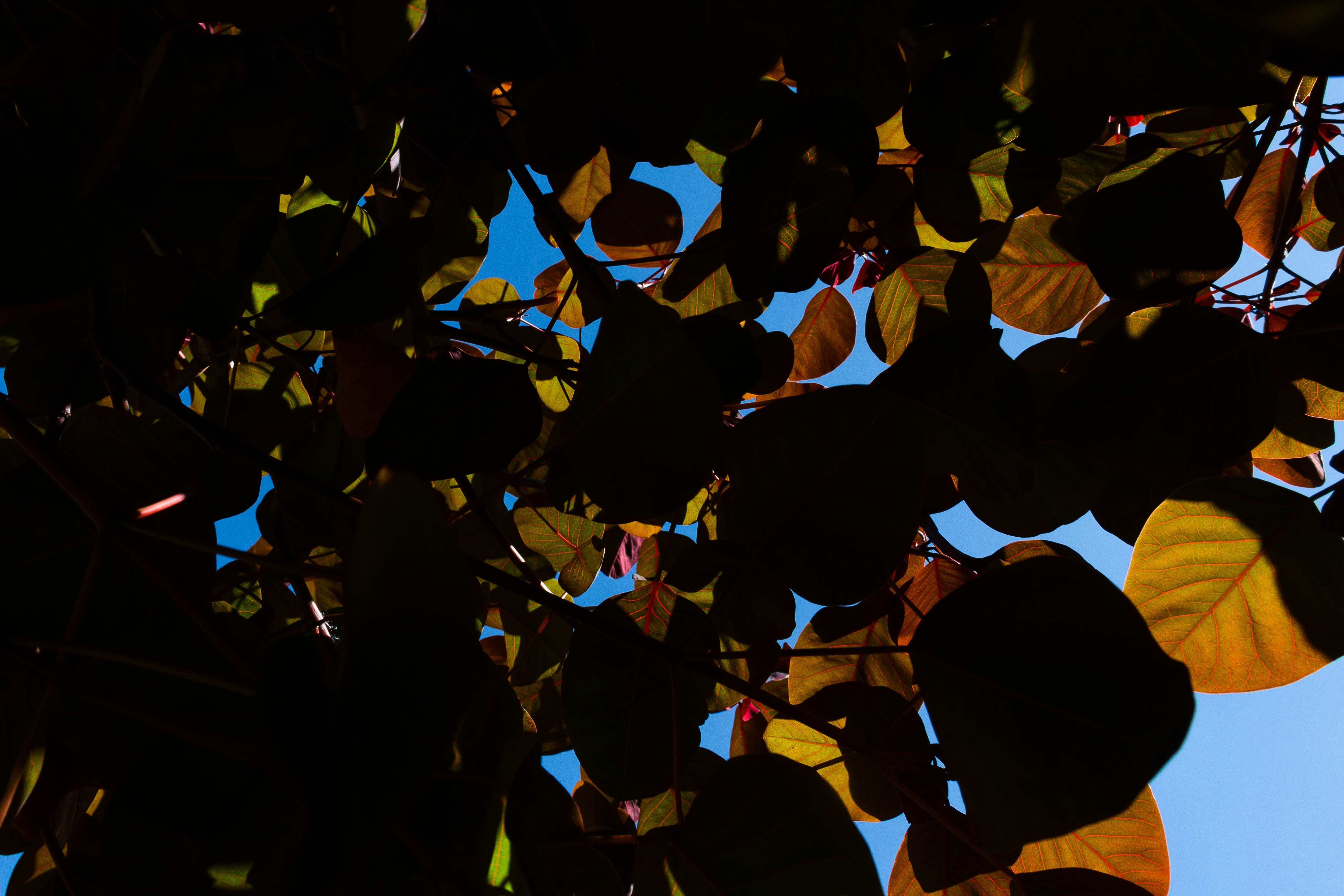 Photo by pablofabianfer