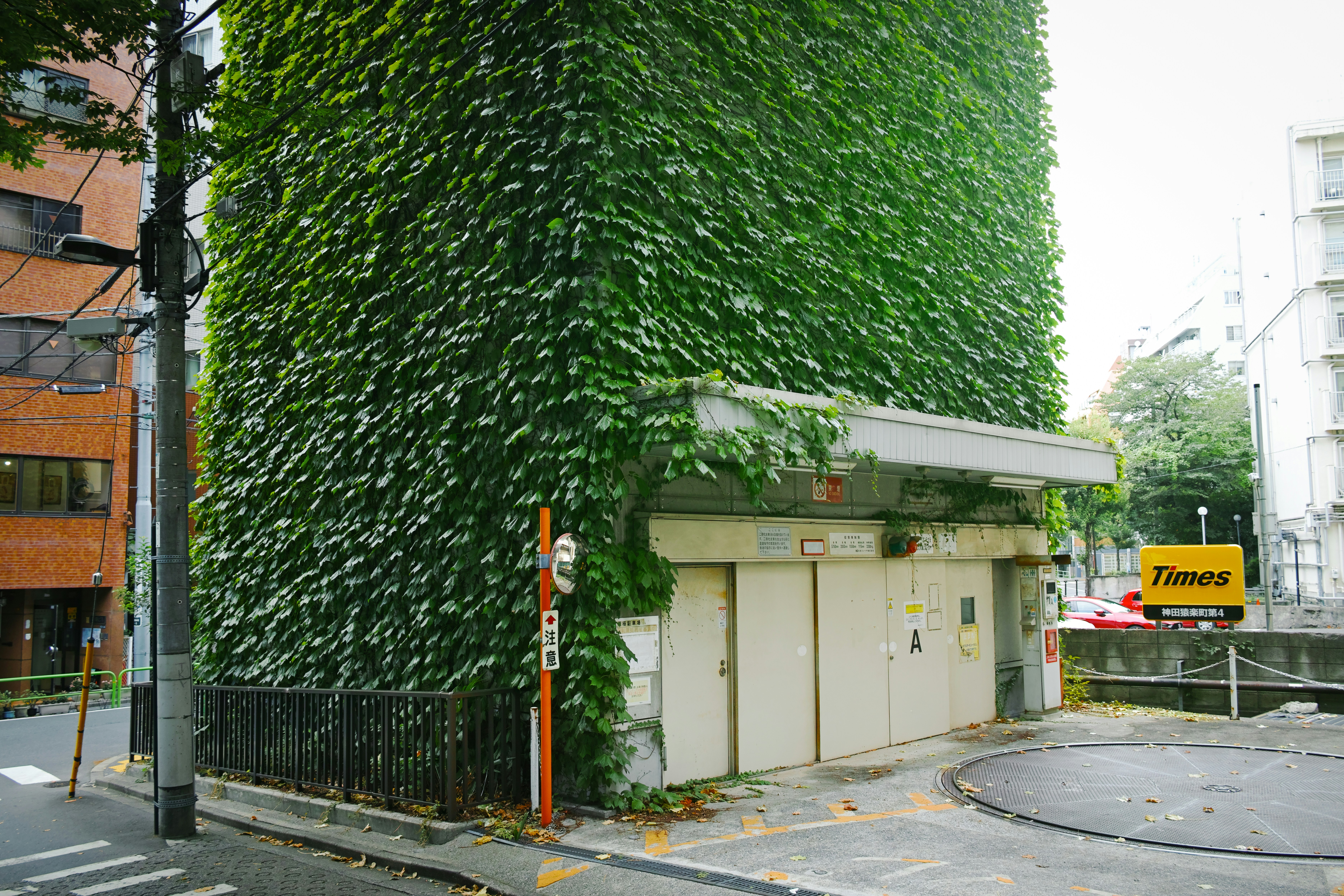 a building covered in vines next to a street