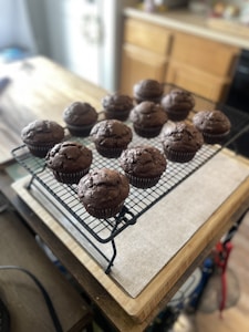 Sourdough Muffins