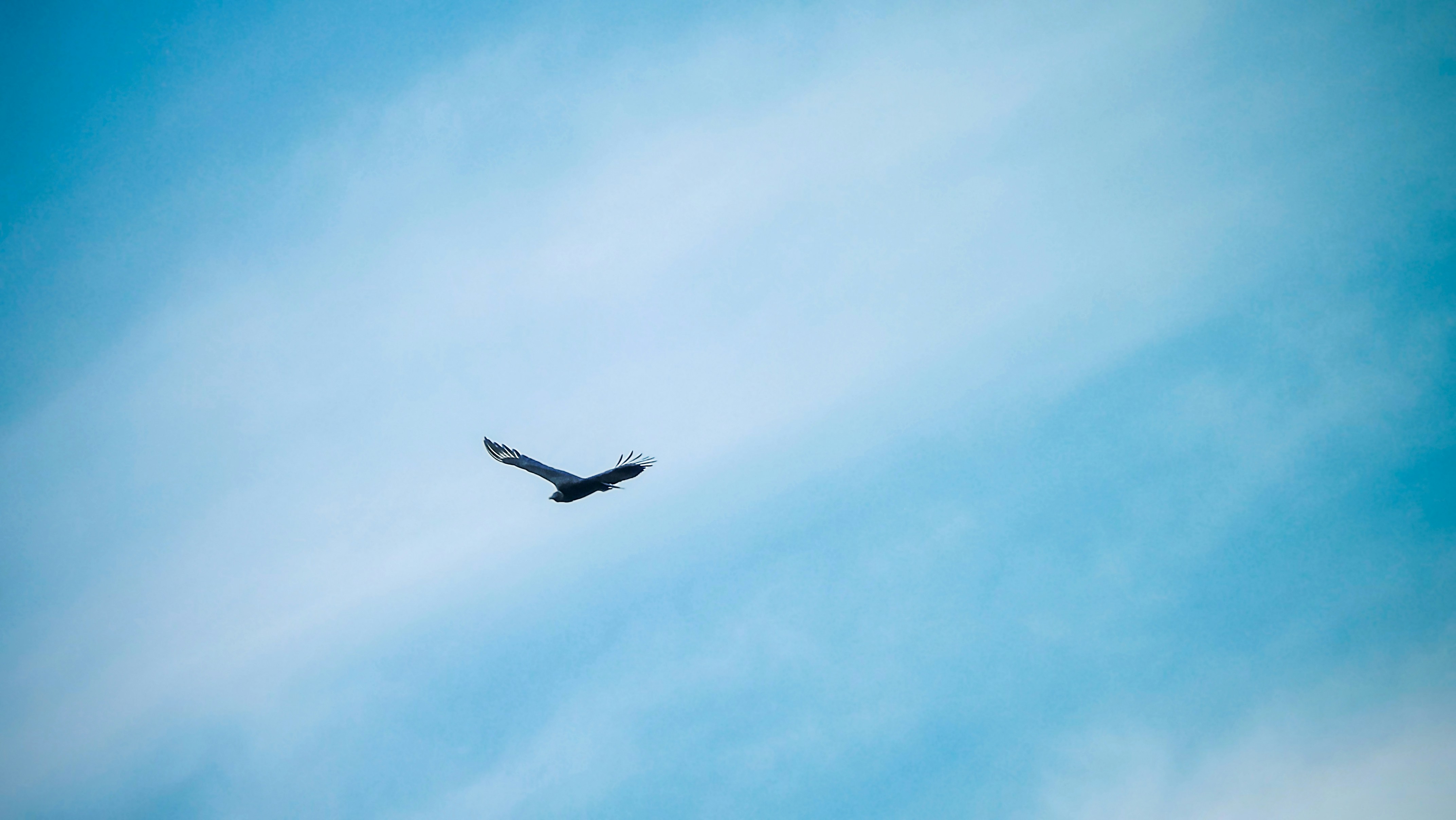 Unsplash 추천 이미지 (키워드 : Na ion,
F ion,
dipole moment,
Mg ion,
charge,
electronegativity,
misconception )