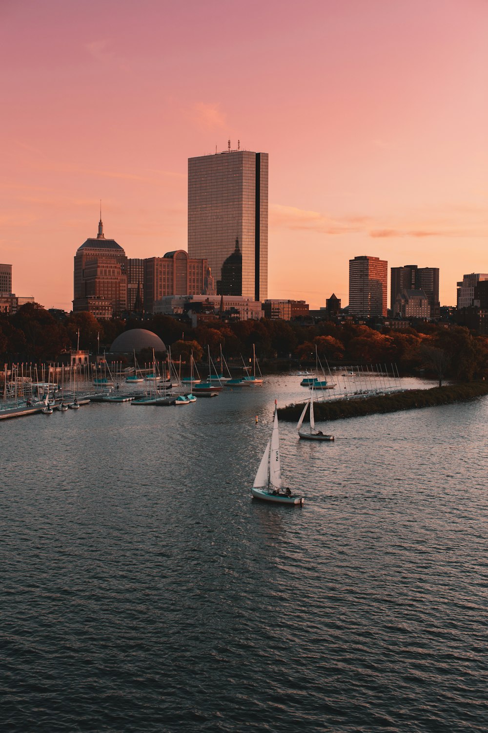 a body of water with a bunch of boats in it