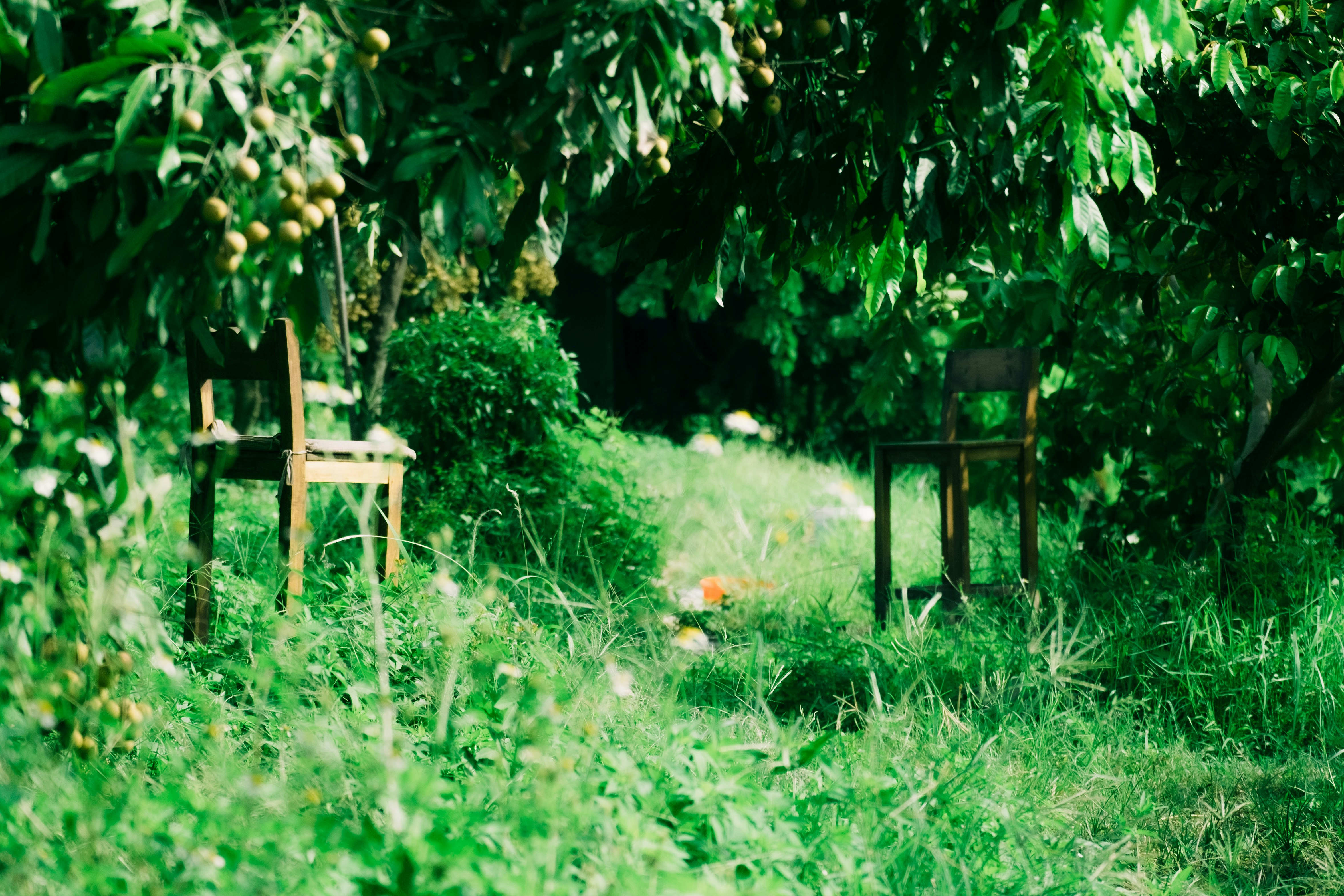 Photo by dying_apricity