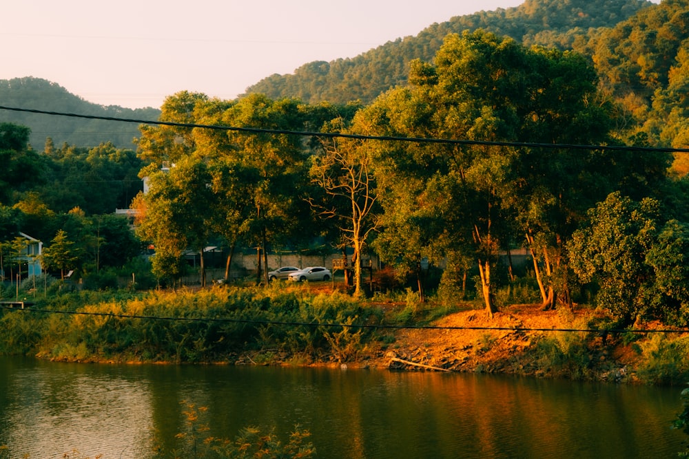 a body of water surrounded by a forest