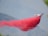 An aircraft discharges a large plume of red fire retardant over a mountainous landscape covered in a haze. The act of releasing the substance creates a striking contrast against the subdued tones of the background, conveying a sense of urgency.