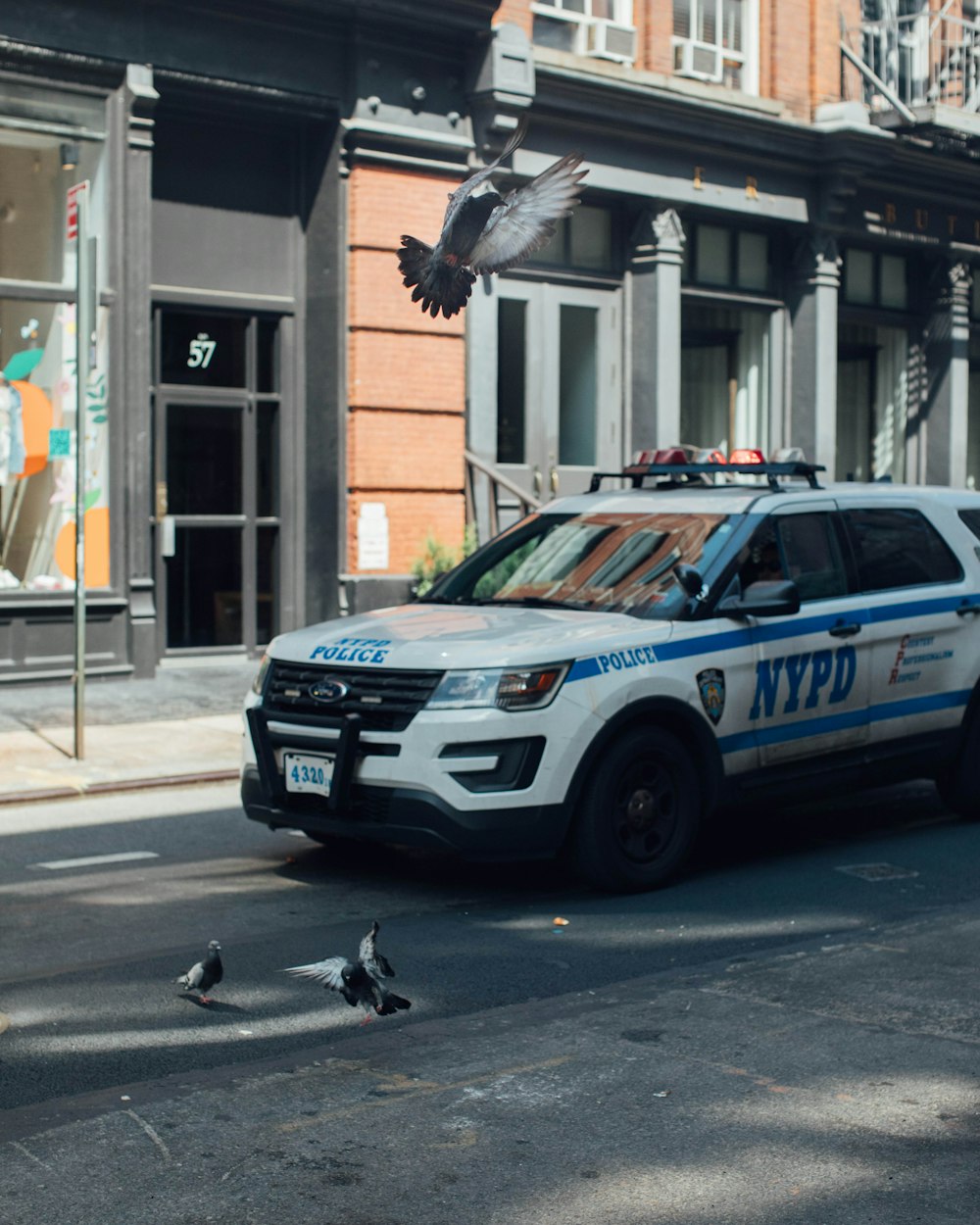 a police car parked on the side of the road