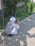 An elderly person wearing a white headscarf and light clothing is squatting on a sidewalk, using a smartphone. They are near a grassy area with a hedge and wrought iron fencing, partially shaded by trees.