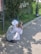An elderly person wearing a white headscarf and light clothing is squatting on a sidewalk, using a smartphone. They are near a grassy area with a hedge and wrought iron fencing, partially shaded by trees.