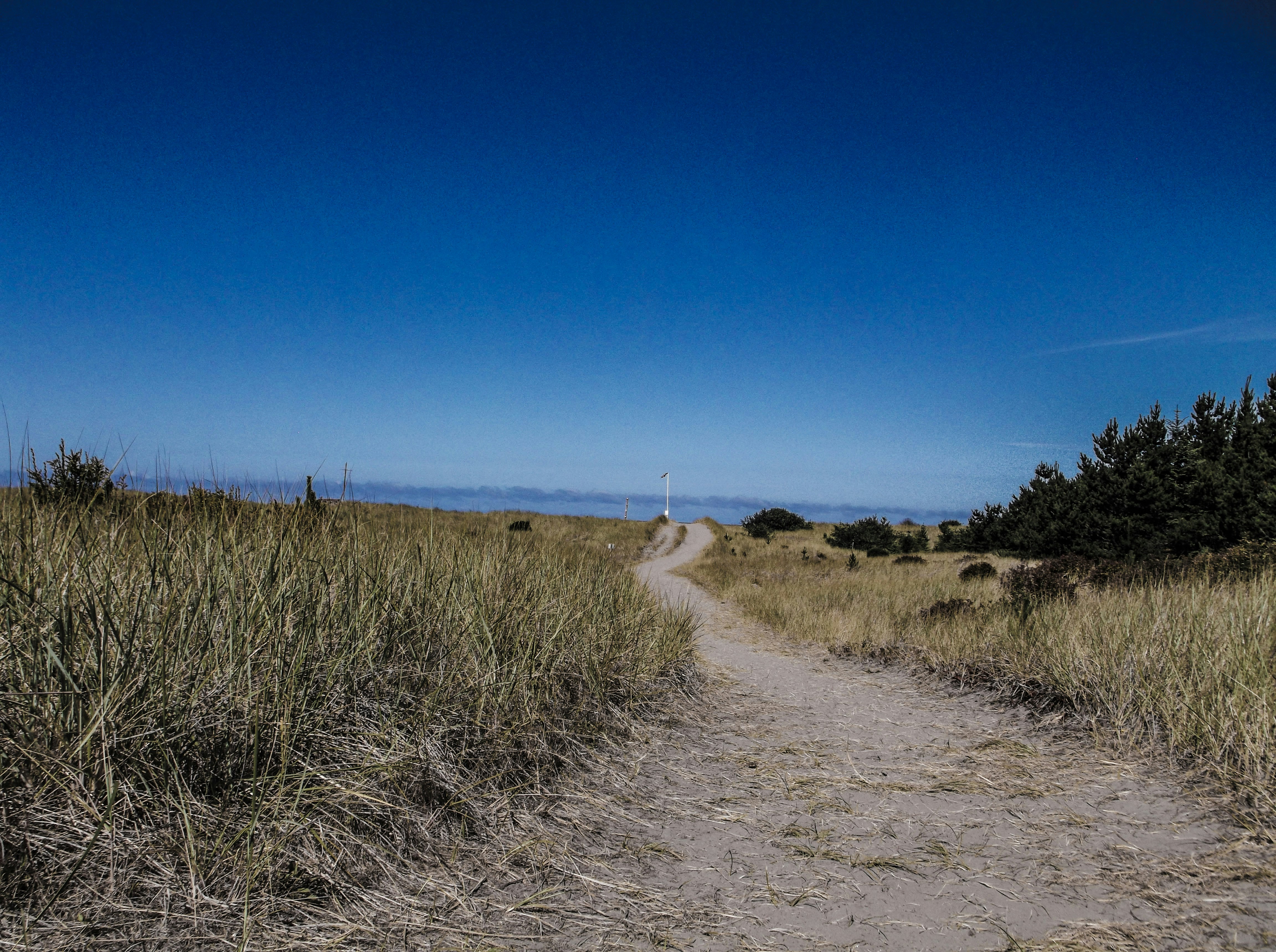 Photo by prphotography262