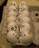 A carton of eggs, each with a playful face drawn in black marker, displaying a variety of exaggerated expressions such as happiness, surprise, confusion, and sadness.