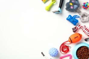 An assortment of pet toys and accessories arranged on a white background. Items include a rope chew toy, a blue feeding bowl filled with kibble, an orange football-shaped toy, a green spiky toy, a small rubber ball, a pair of grooming tools, and a colorful rubber knot ball.