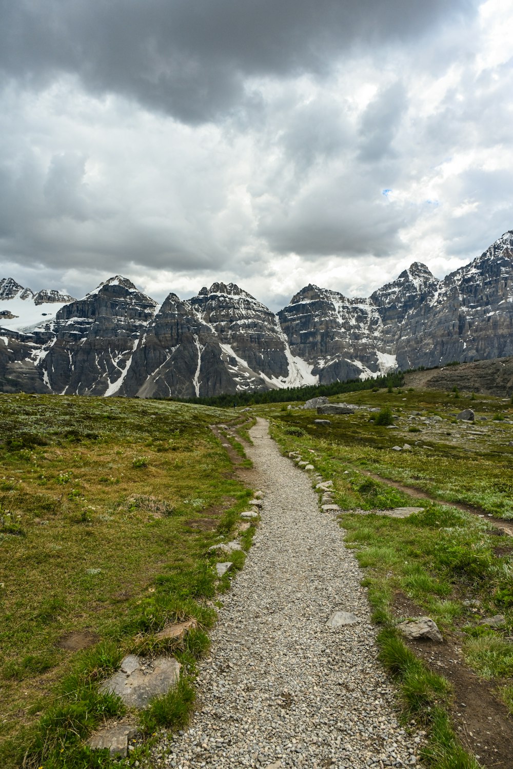 a trail winds through a grassy field with mountains in the background