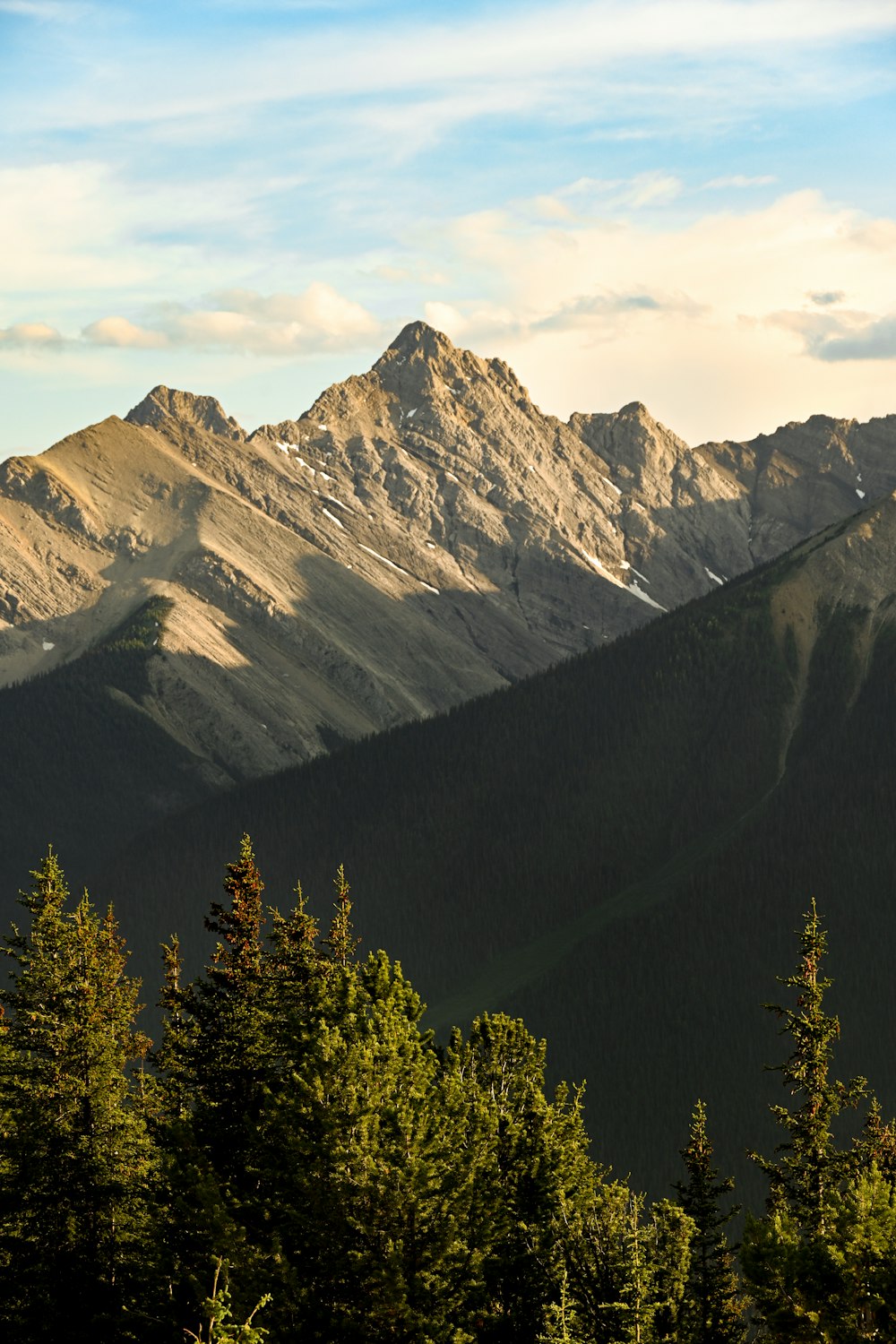 a view of a mountain range with trees in the foreground