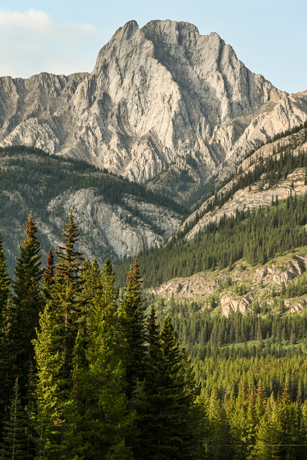 a view of a mountain range with trees in the foreground