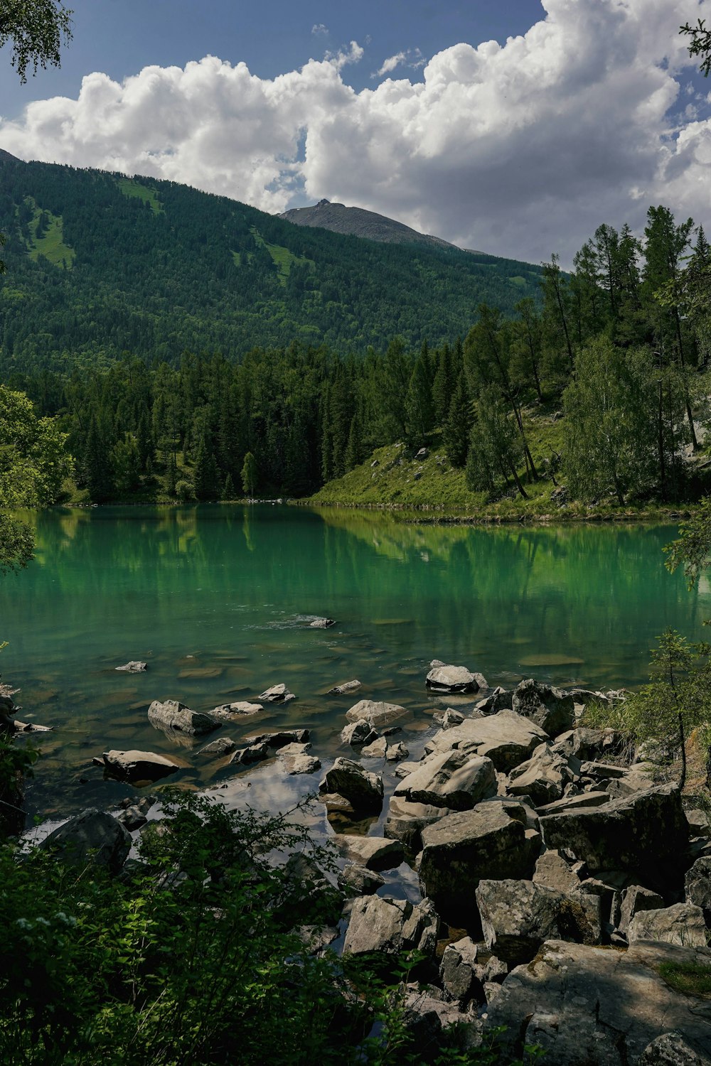 a lake surrounded by rocks and trees with a mountain in the background