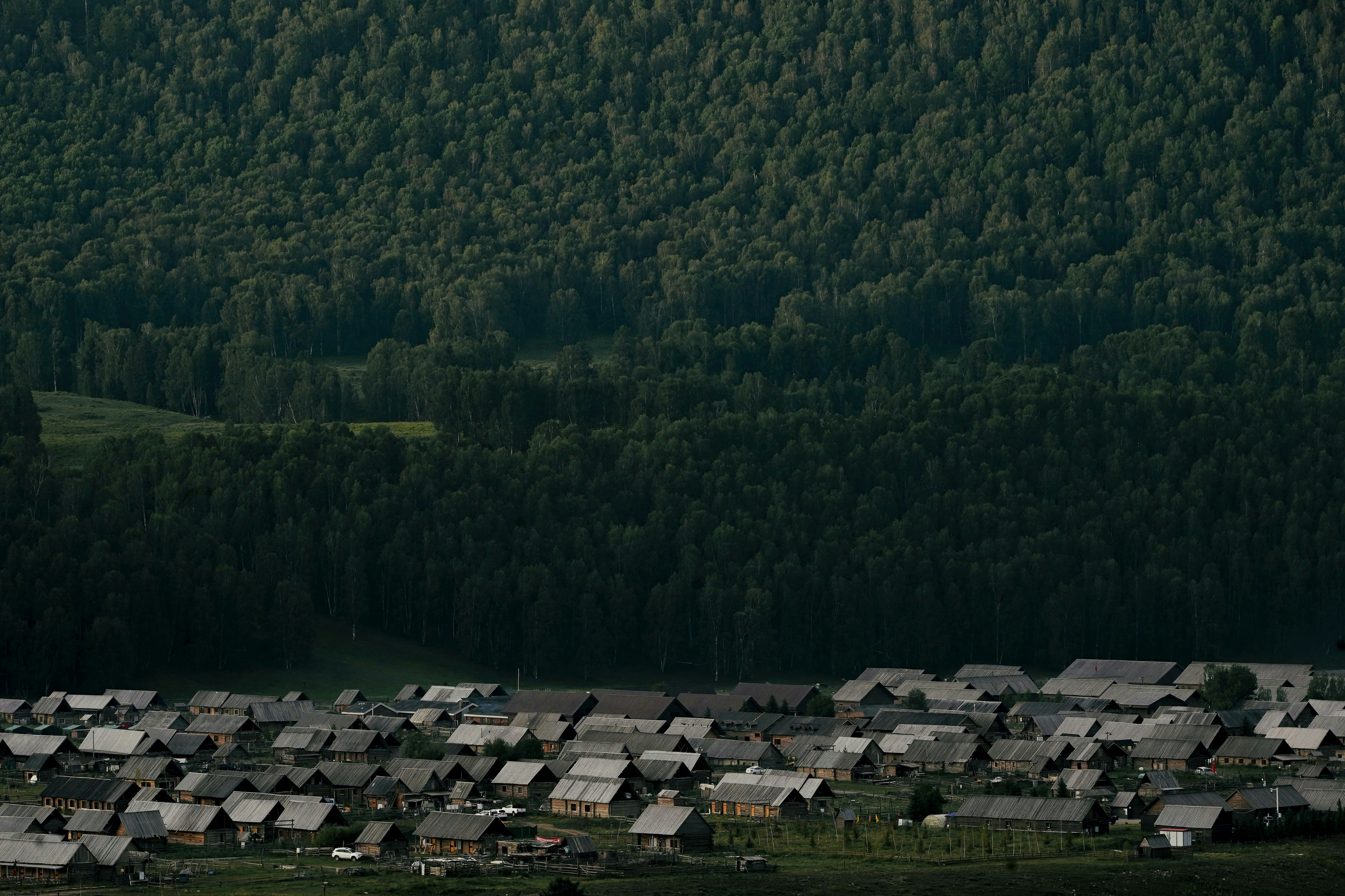 Un grande gruppo di case nel mezzo di una foresta
