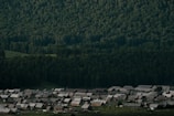A rural village with numerous houses featuring grayish rooftops sits at the edge of a dense, expansive forest. The forest extends up the hillside, covered in lush green trees under soft lighting, creating a natural backdrop for the settlement.