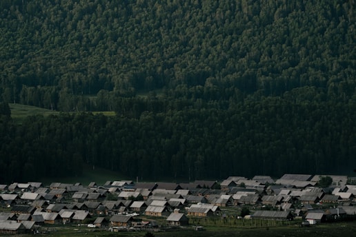 A rural village with numerous houses featuring grayish rooftops sits at the edge of a dense, expansive forest. The forest extends up the hillside, covered in lush green trees under soft lighting, creating a natural backdrop for the settlement.