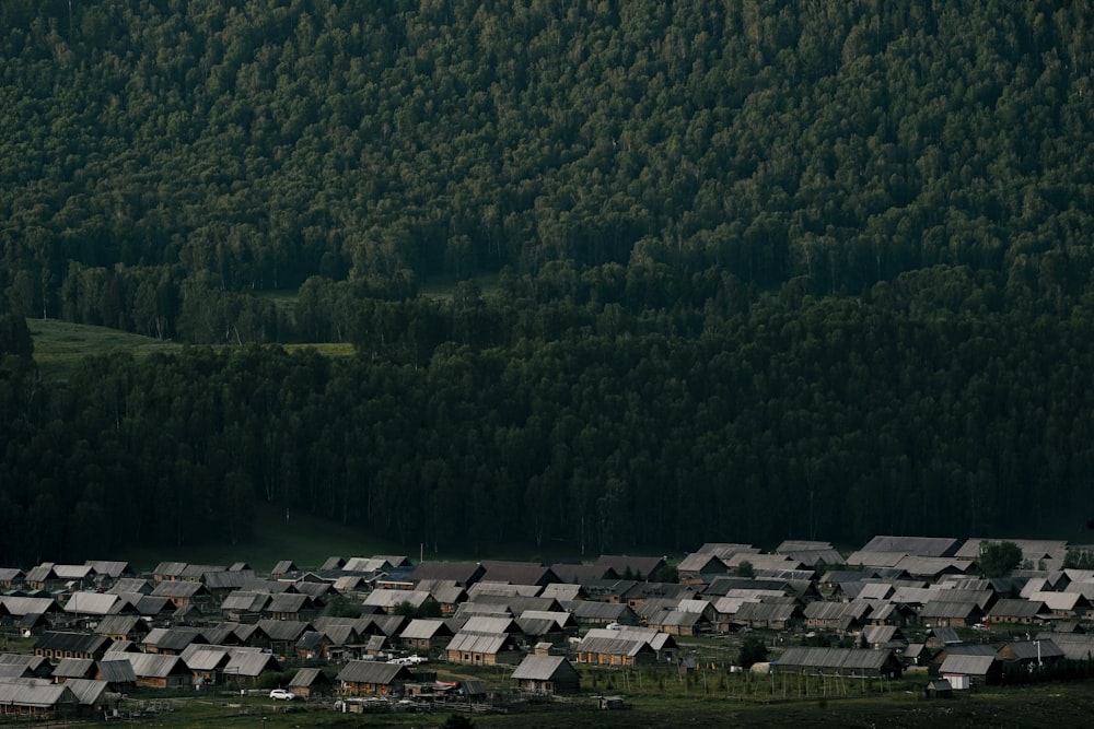 a large group of houses in the middle of a forest