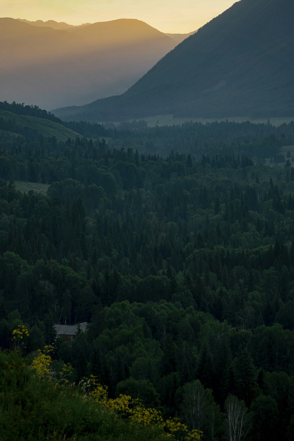 a view of a valley with trees and mountains in the background