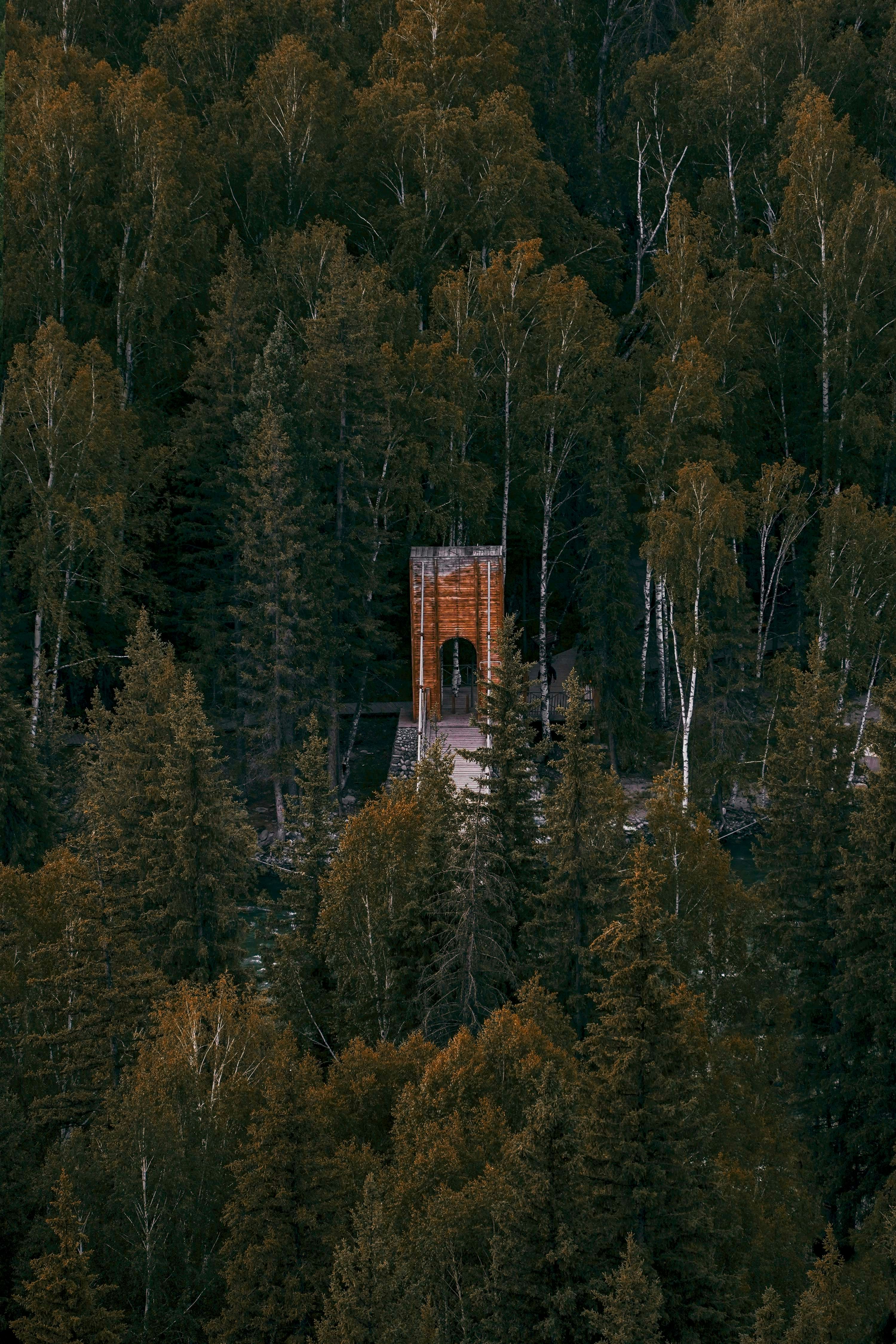 Una torre nel mezzo di una foresta