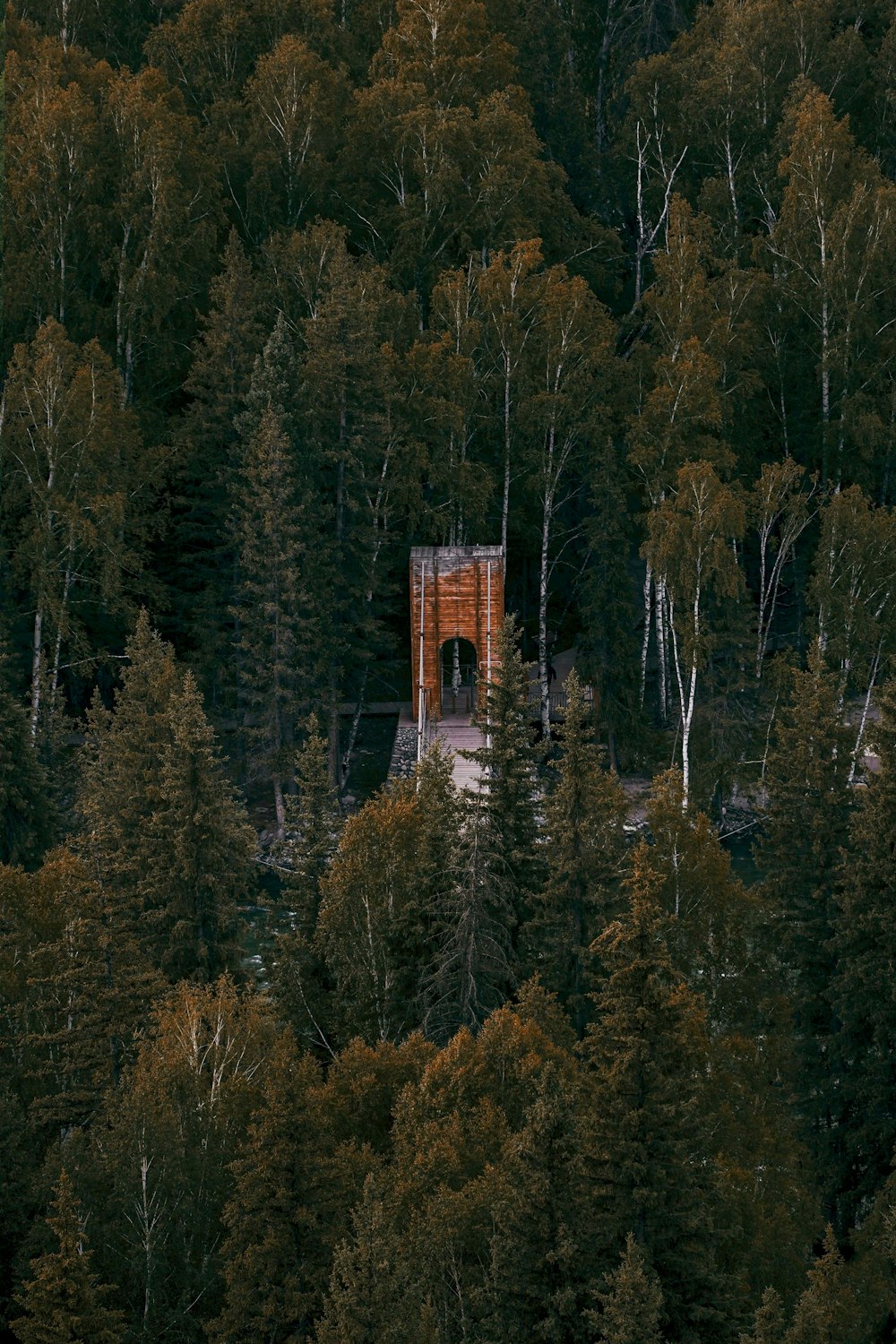 a tower in the middle of a forest