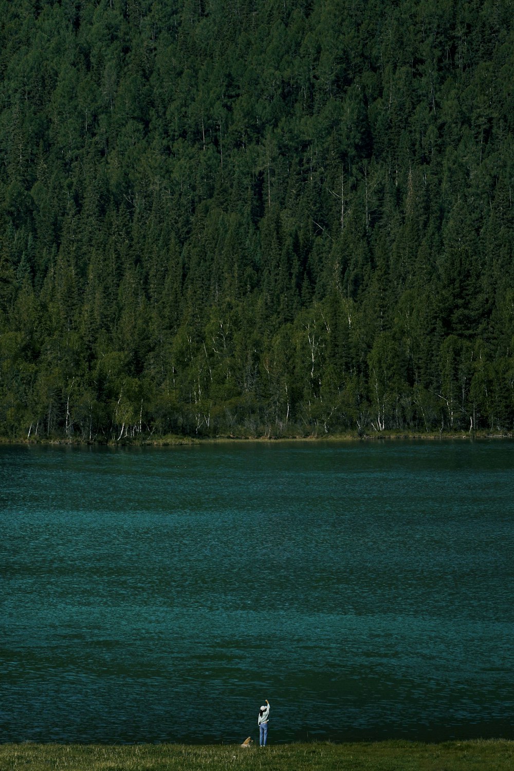 a man and a dog are flying a kite by the water