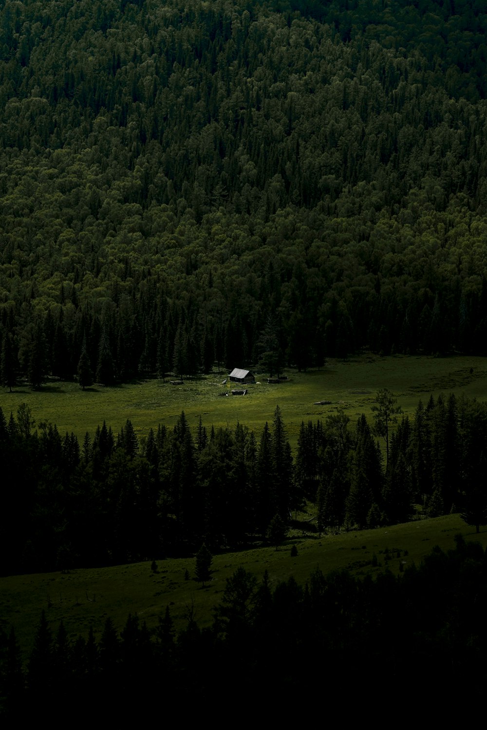 a house in the middle of a field surrounded by trees