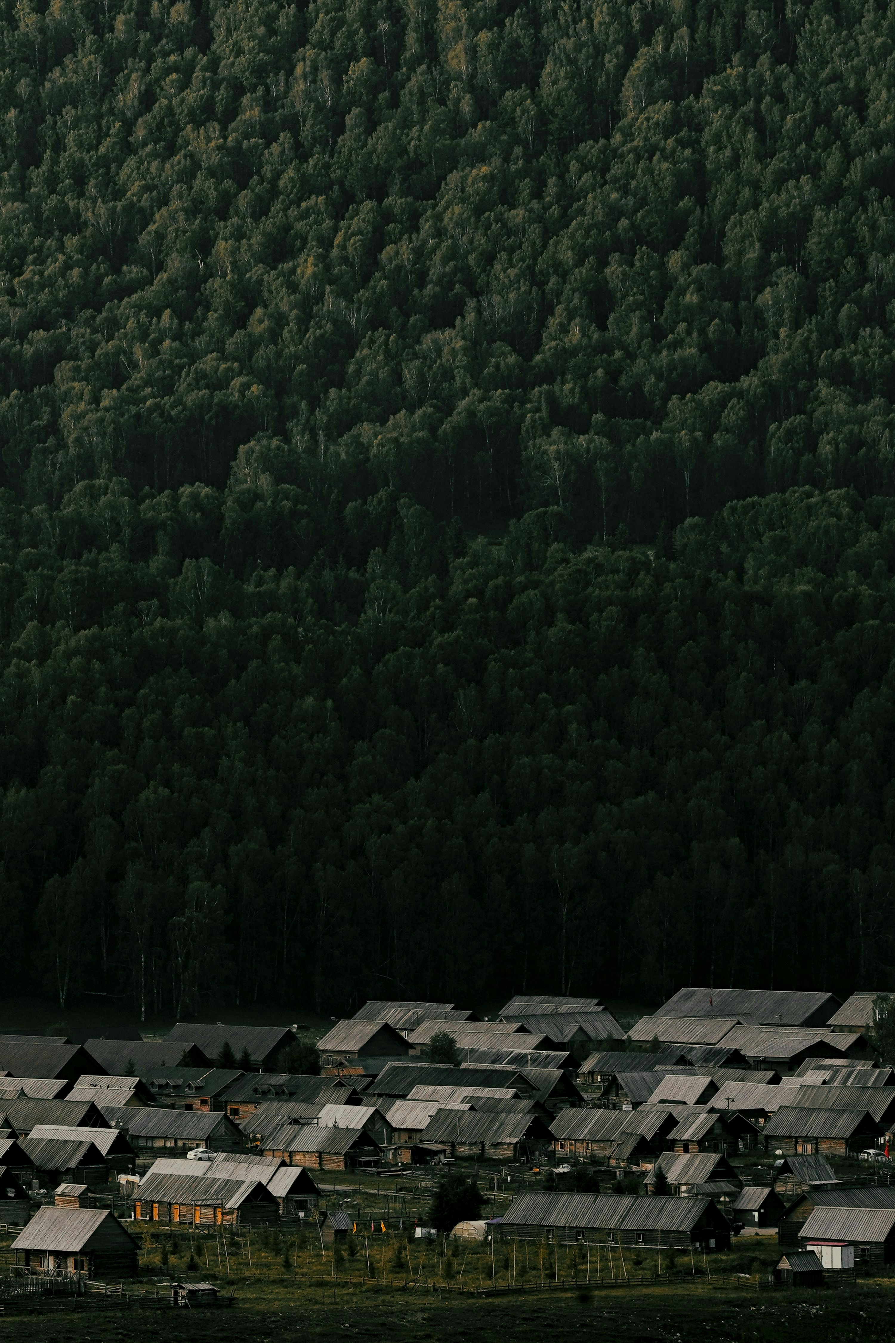 Un gruppo di case sedute di fronte a una foresta