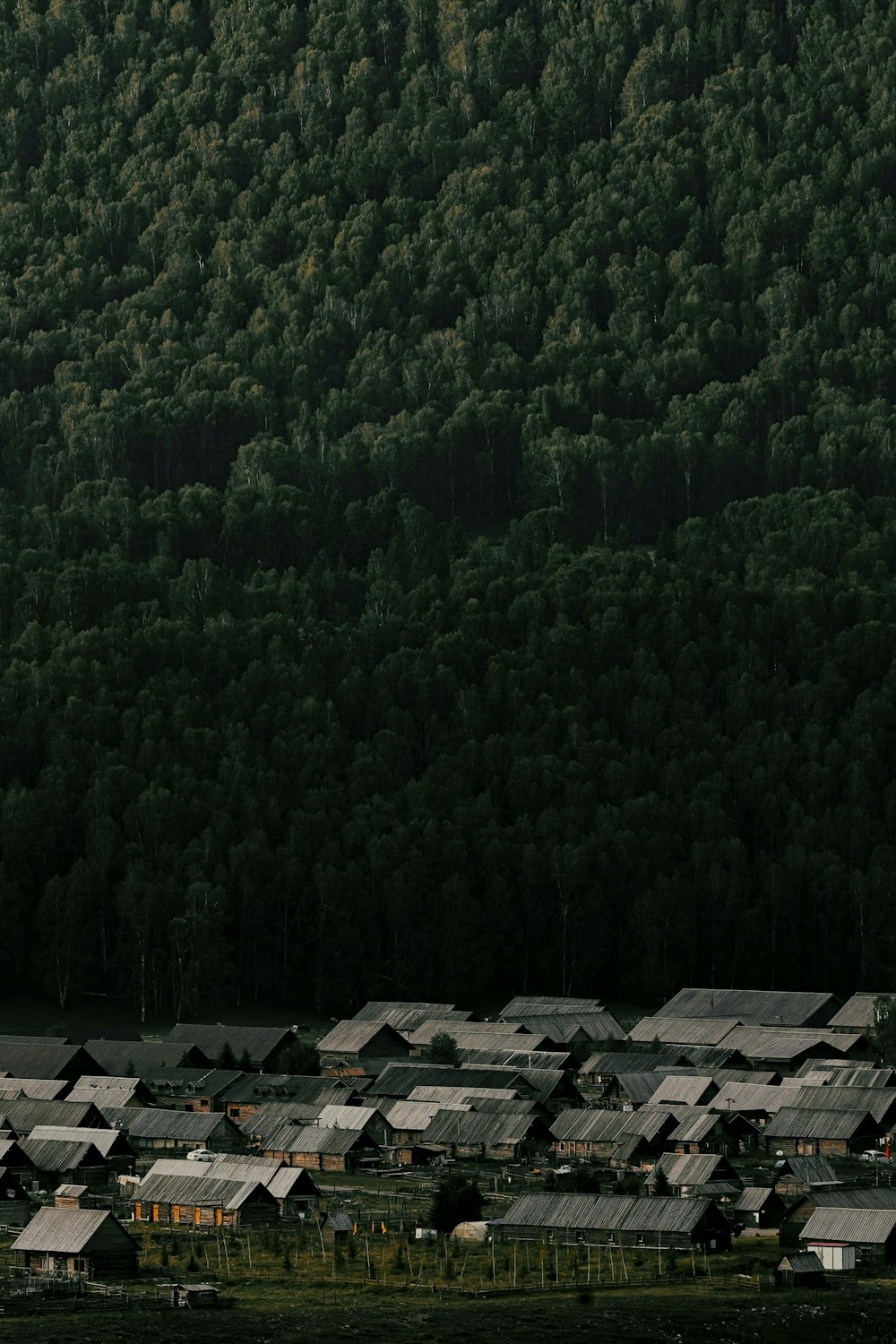 a group of houses sitting in front of a forest