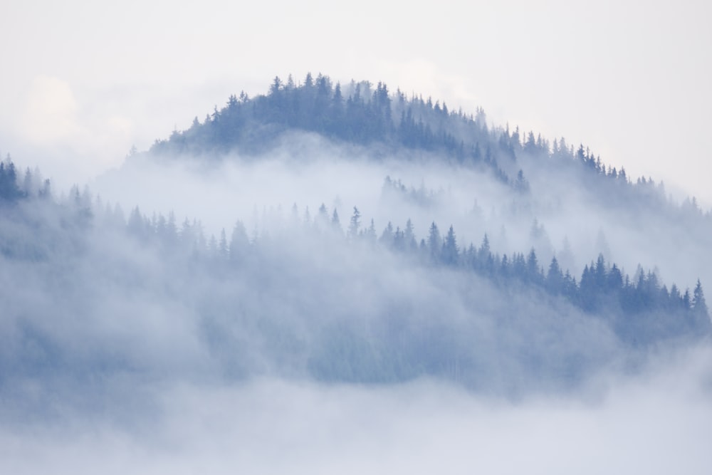 a mountain covered in fog and trees