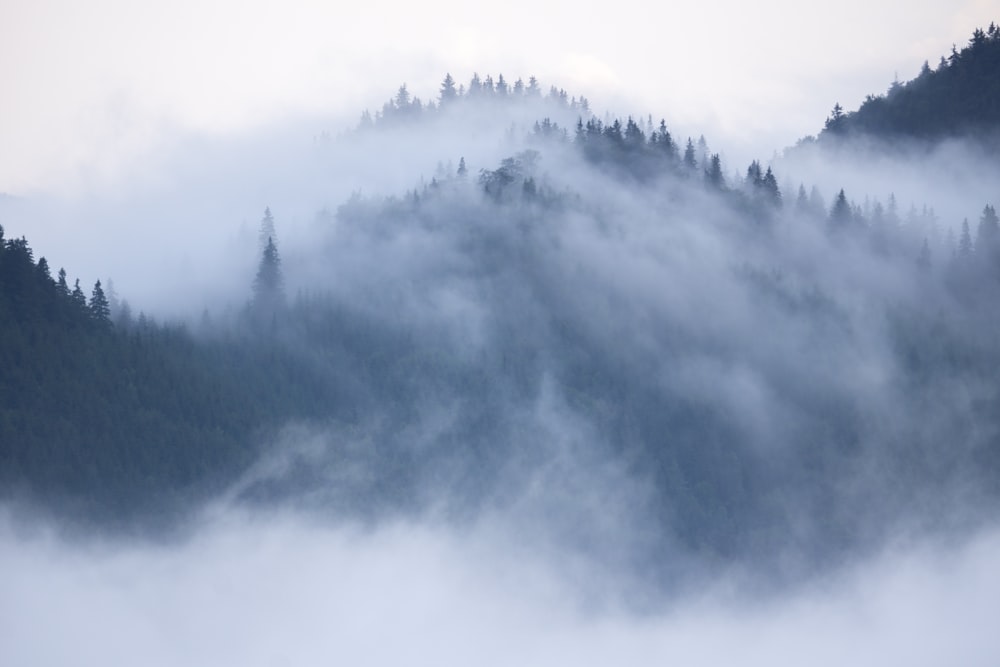 a mountain covered in fog and trees