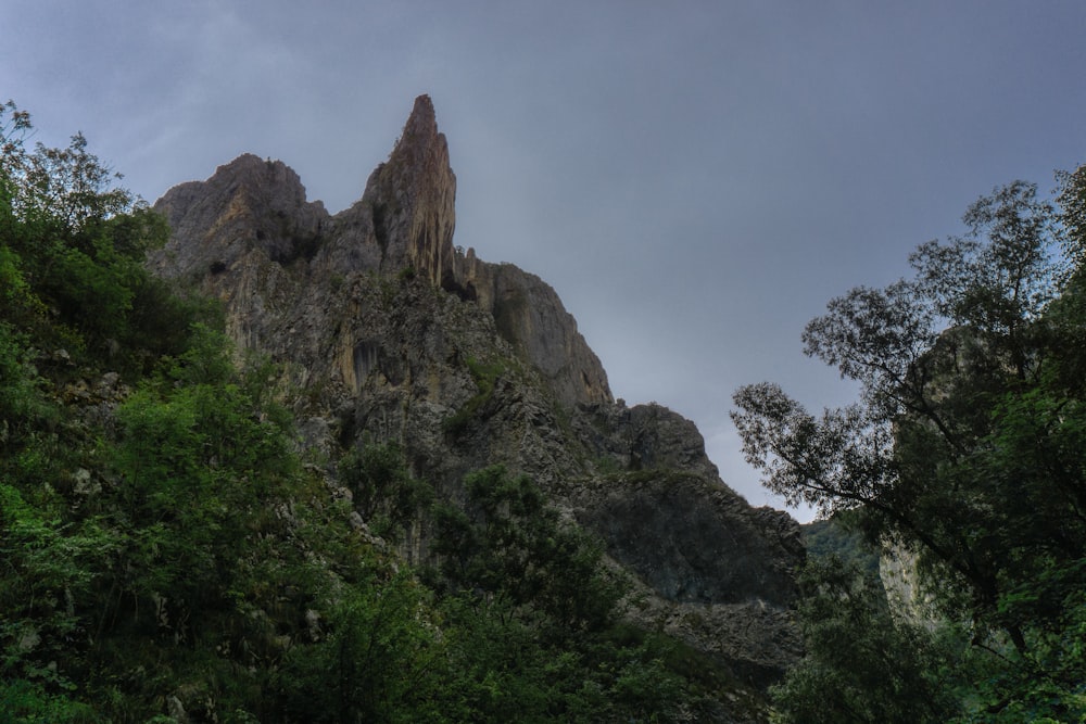 a very tall mountain surrounded by trees under a cloudy sky