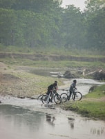 Group of riders crossing a shallow stream surrounded by lush greenery.