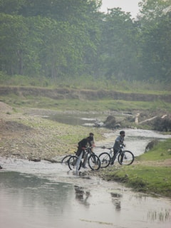 Group of riders crossing a shallow stream surrounded by lush greenery.