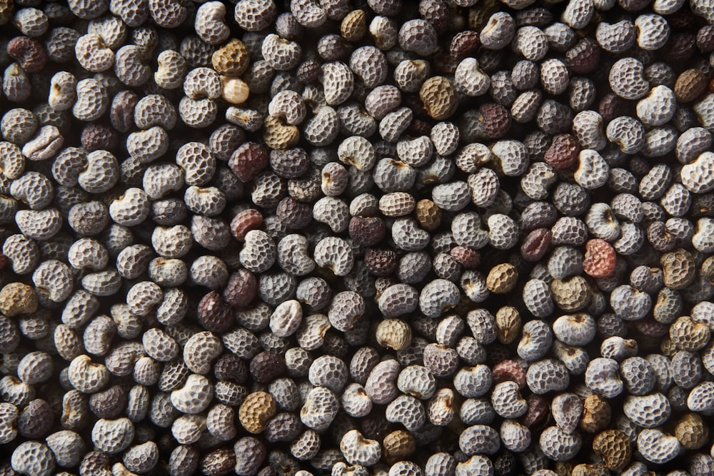 a close up of a bunch of nuts on a table