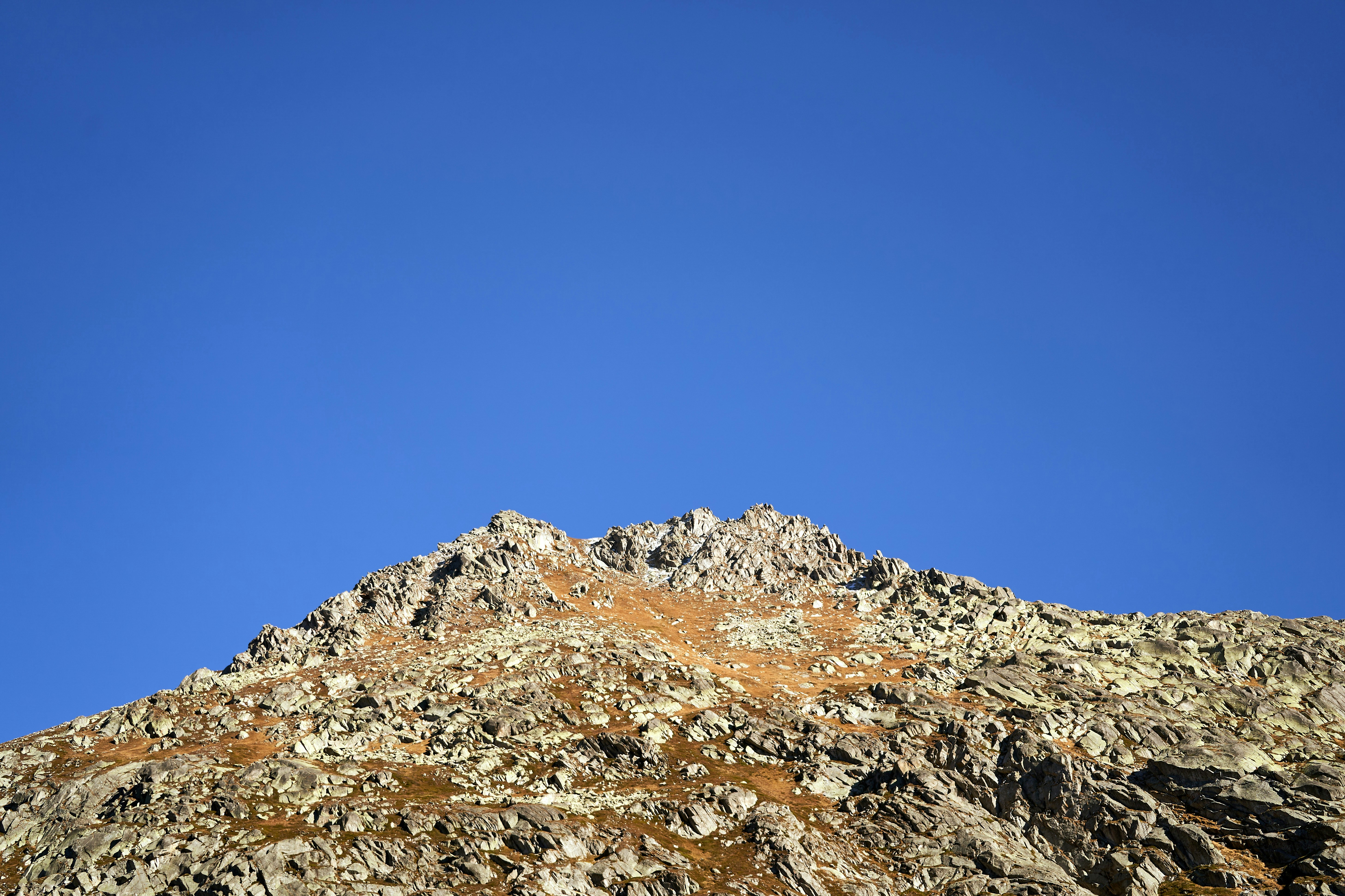 Photo by wolfgang_hasselmann