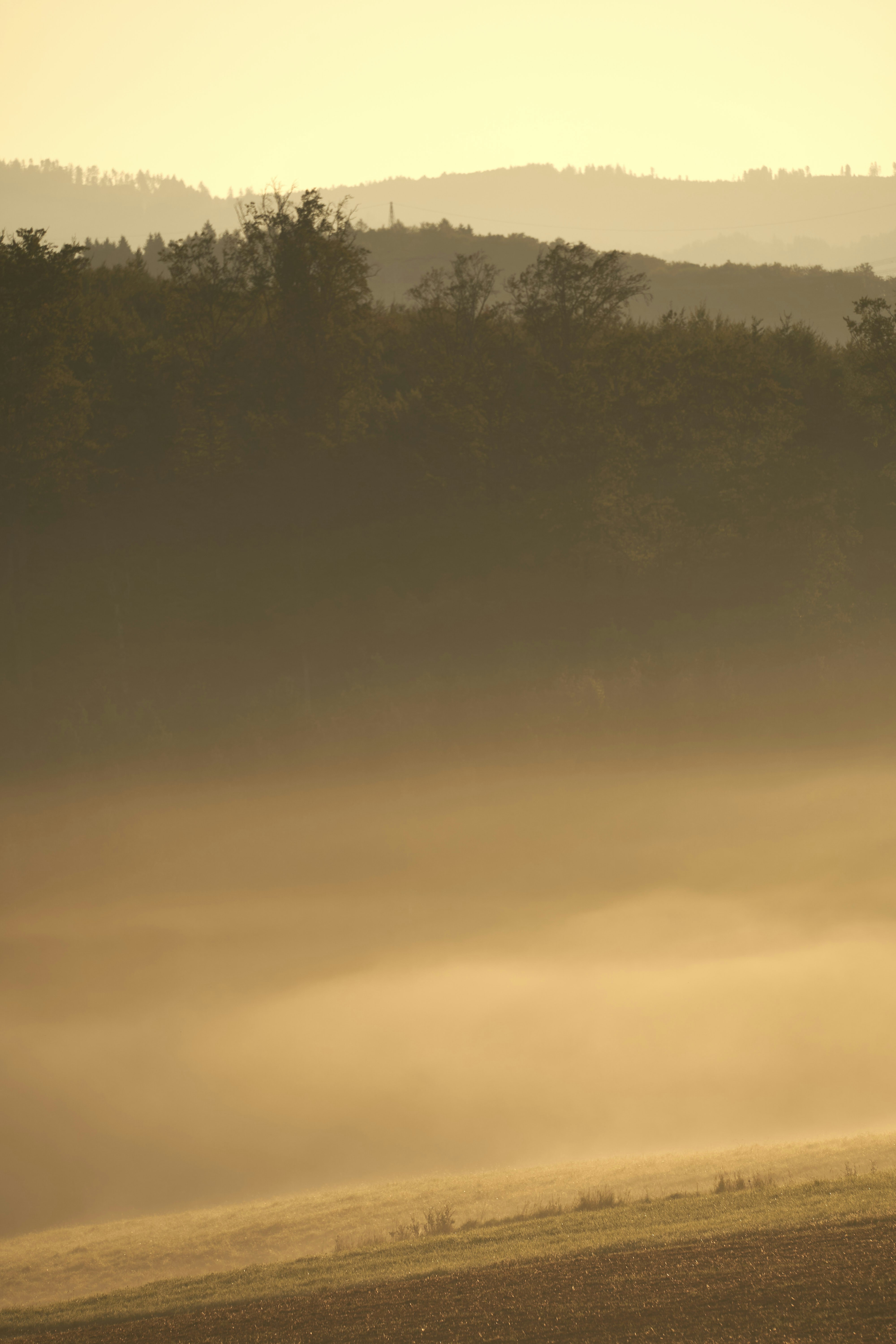 Photo by wolfgang_hasselmann