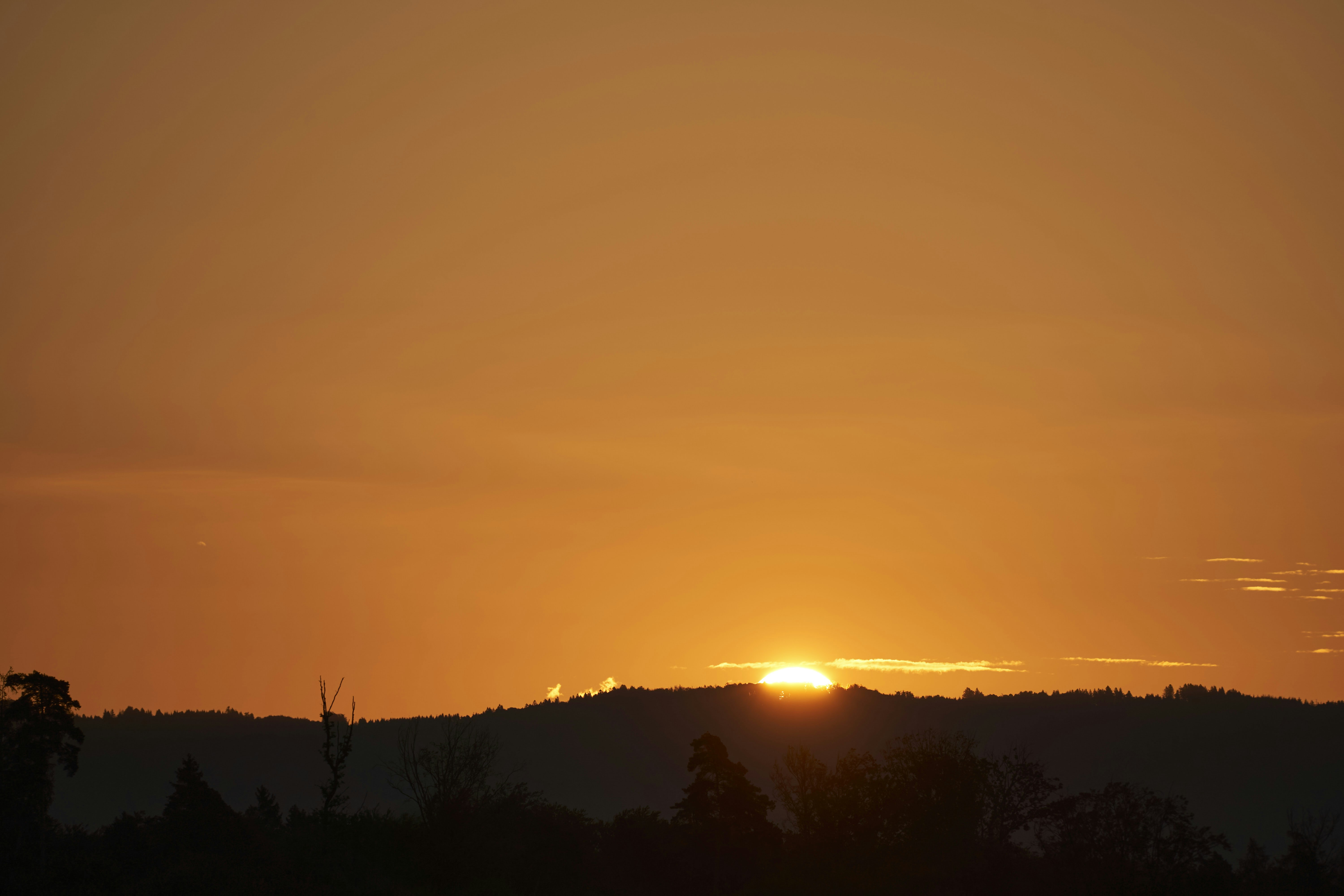 Photo by wolfgang_hasselmann