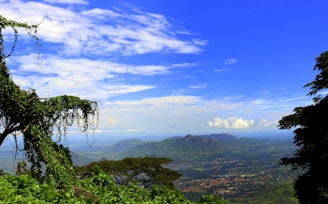A scenic outdoor shot from a Telugu film showcasing lush landscapes and vibrant costumes.