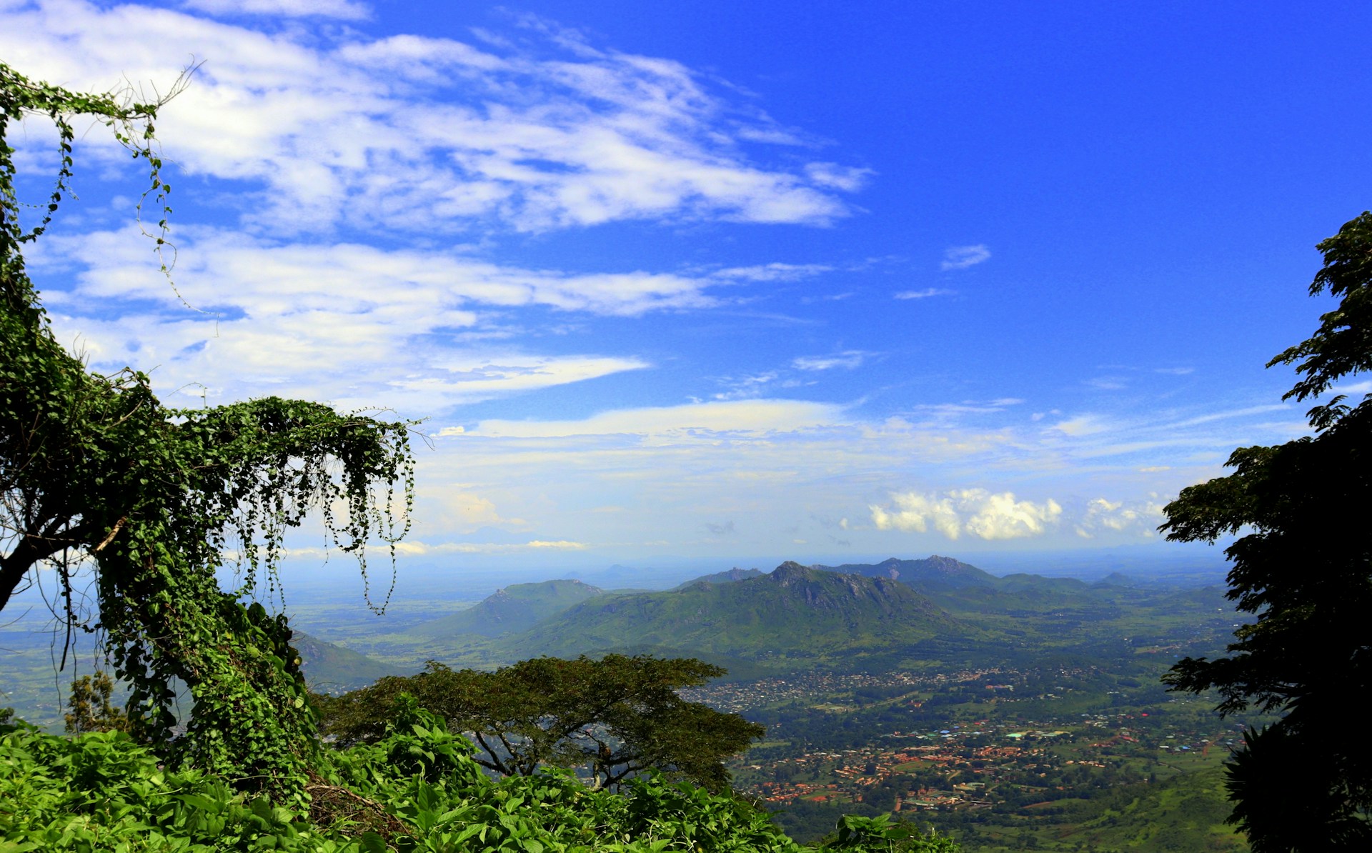 black and white bed linen