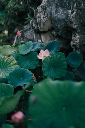 A serene corner decorated with lotus motifs and temple-inspired patterns