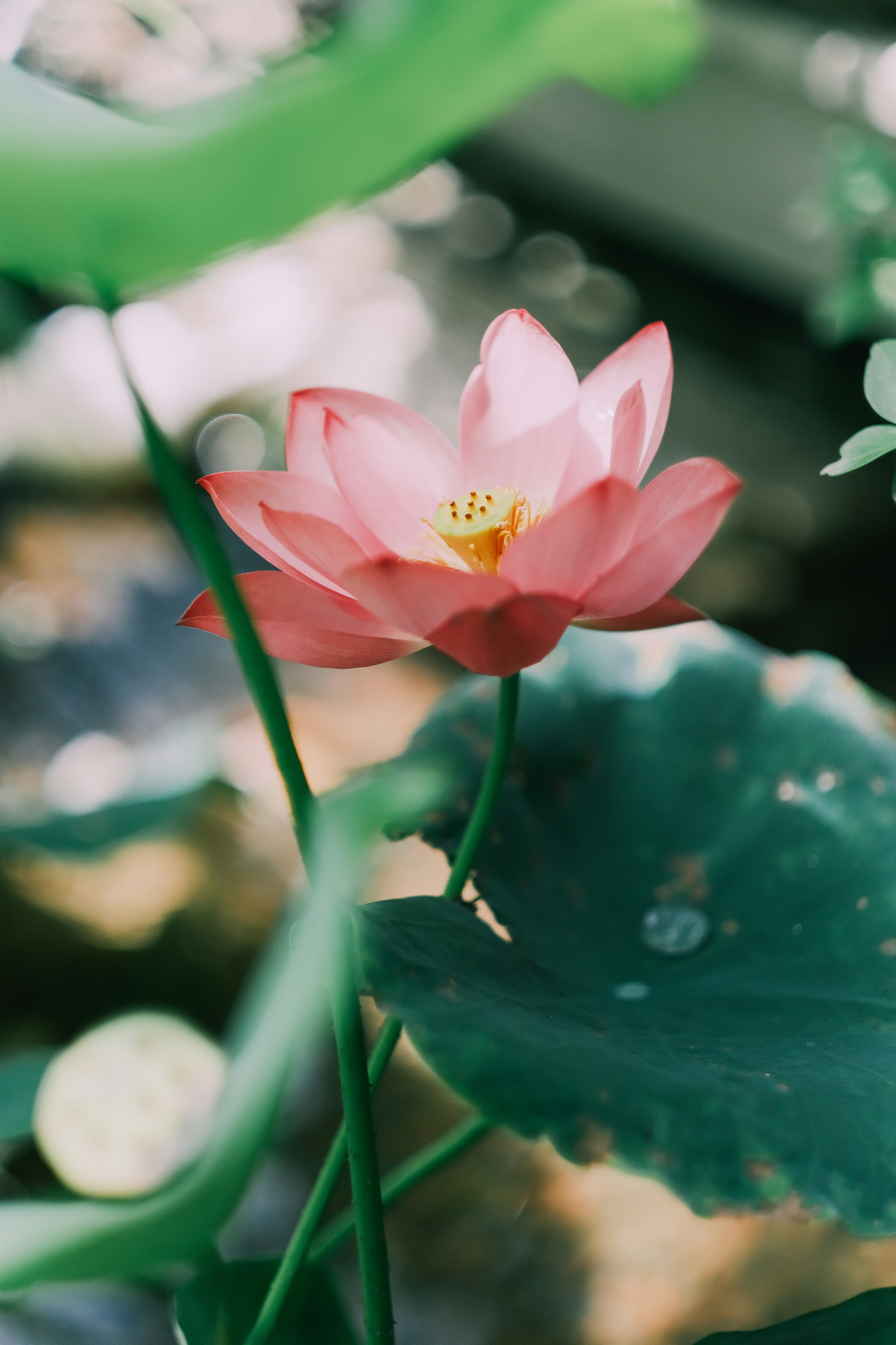 Photo by maycloudbackup