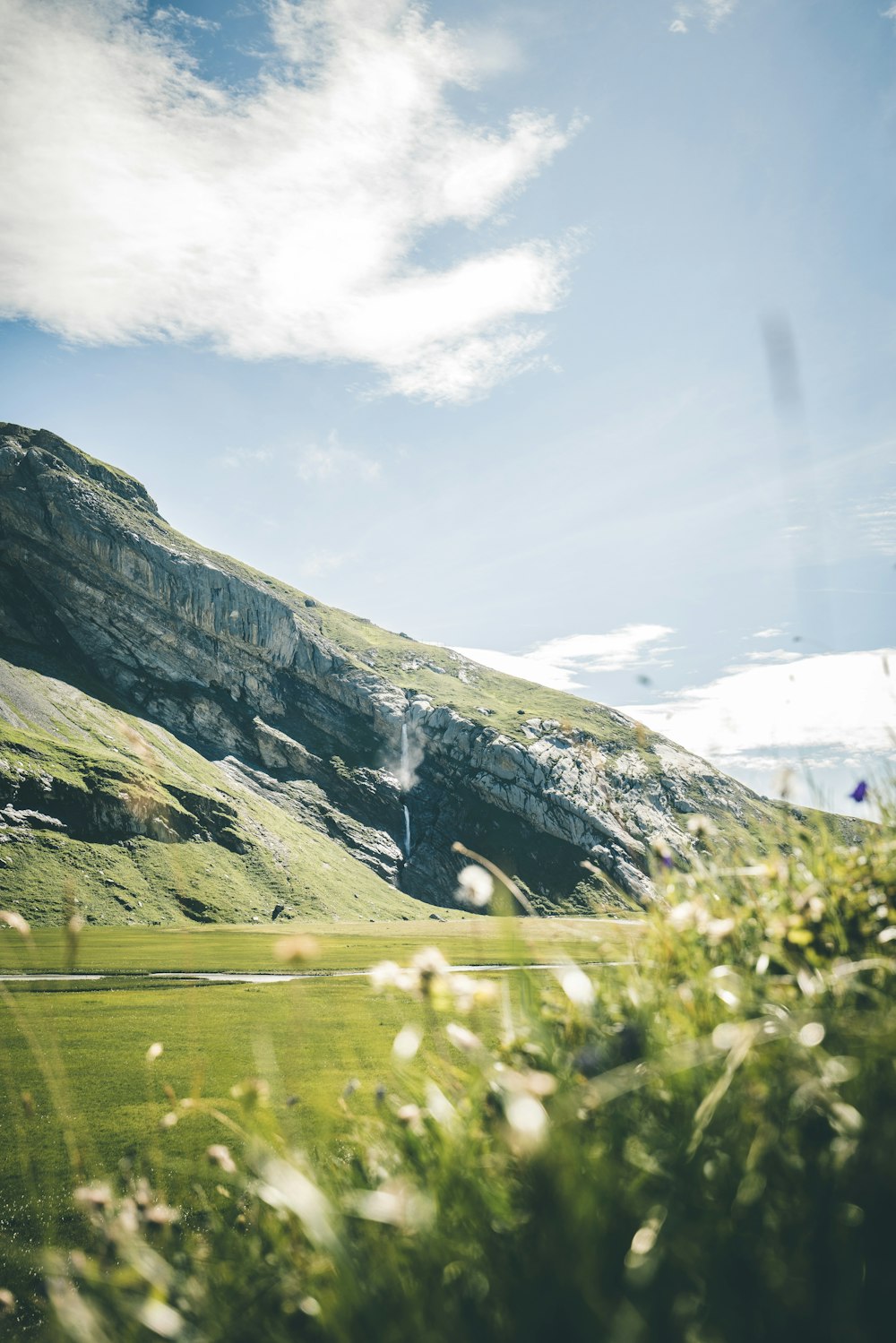 a grassy field with a mountain in the background