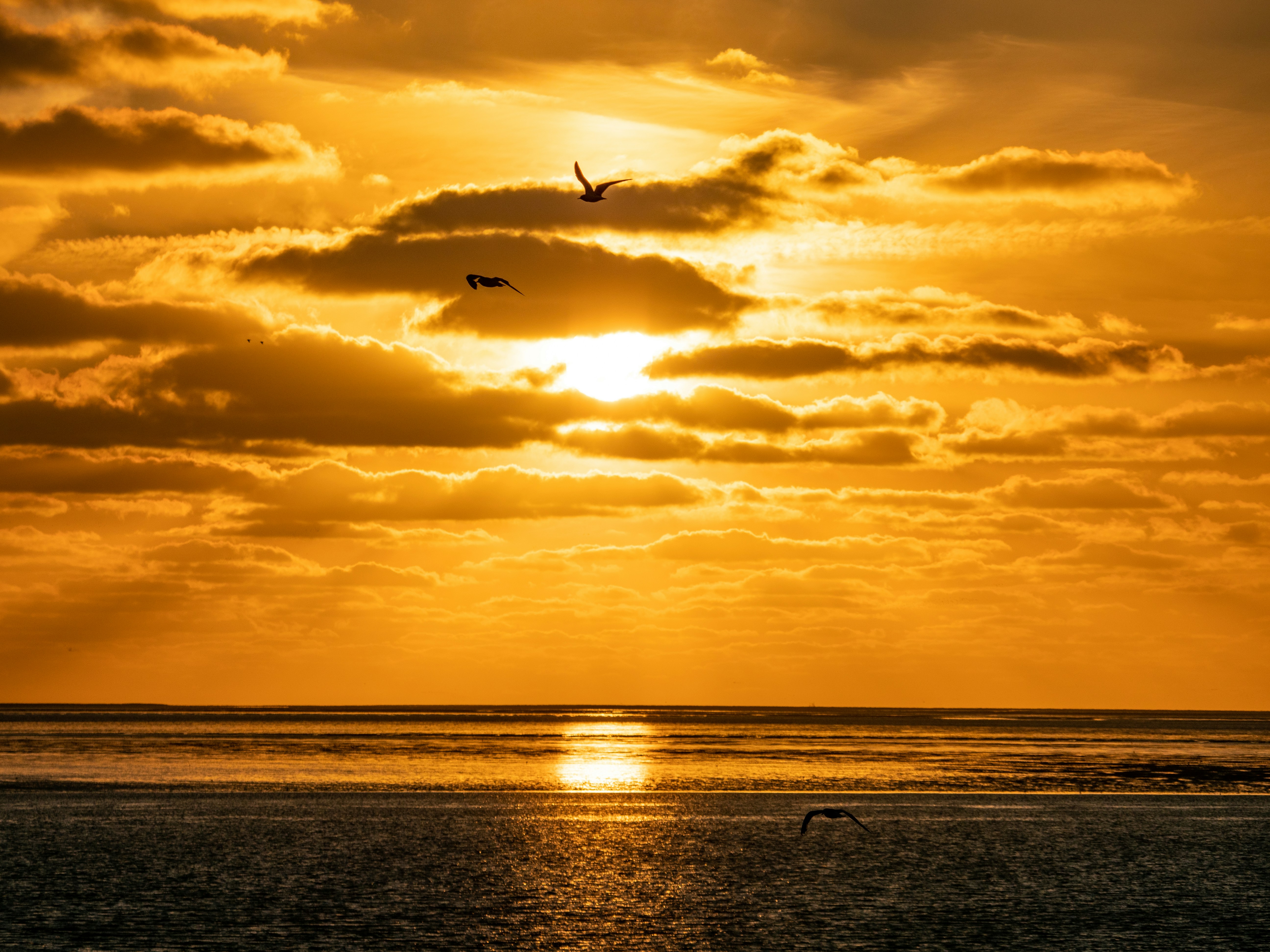 Photo by poli_graphy